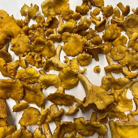 Logis Du Midi La-Roche-en-Ardenne